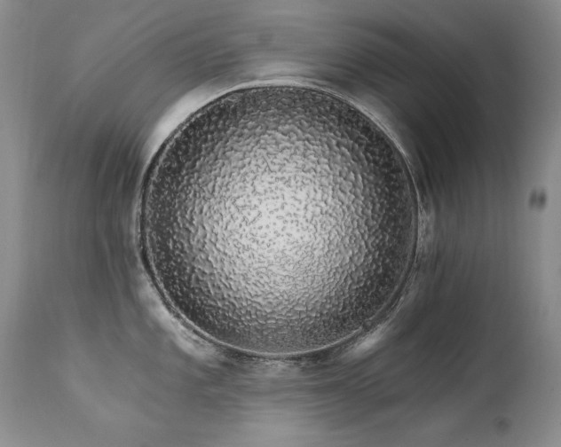 X0000111931101200907271307