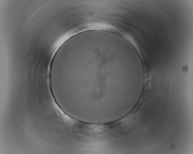 X0000111931103200907271307