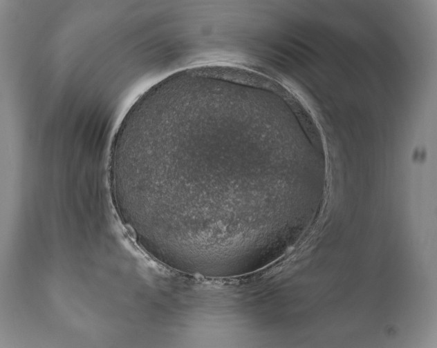 X0000111931104200907271307