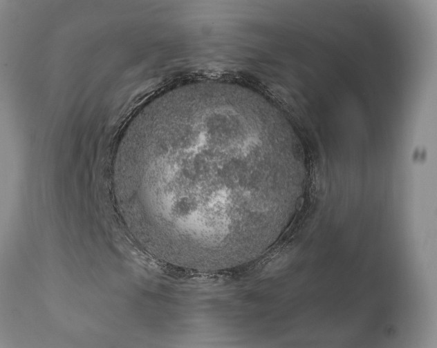 X0000111931105200907271306