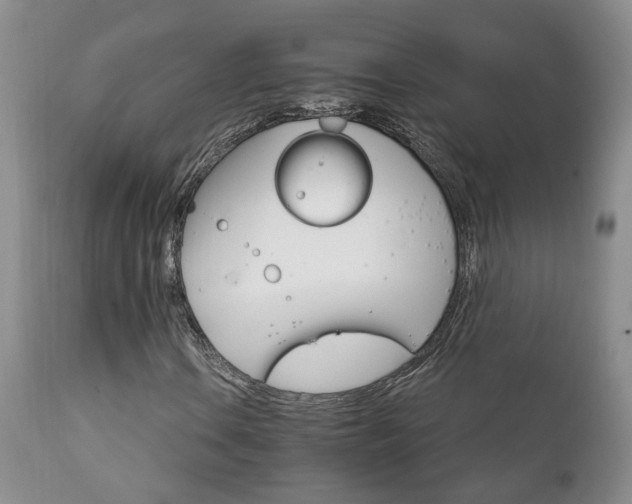 X0000111931106200907271306
