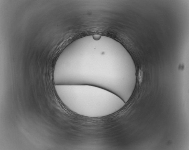X0000111931107200907271306