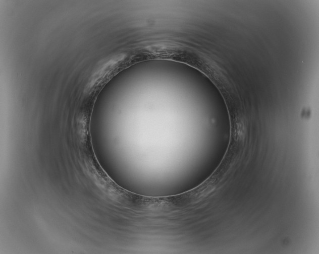X0000111931108200907271306