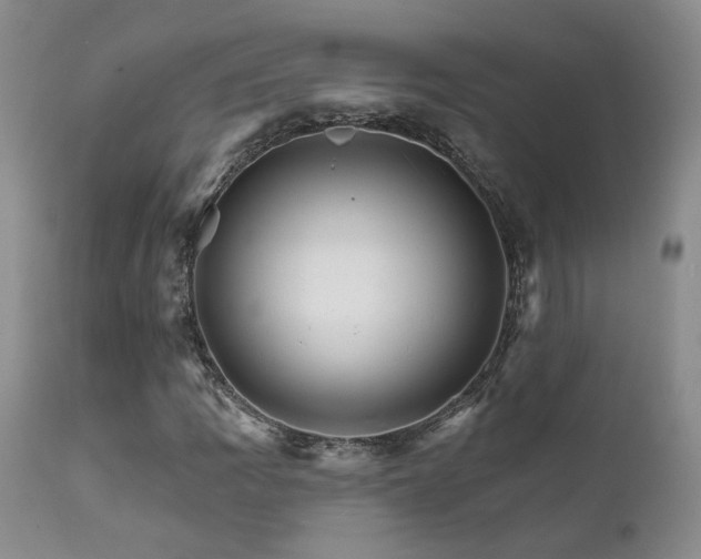 X0000111931109200907271306