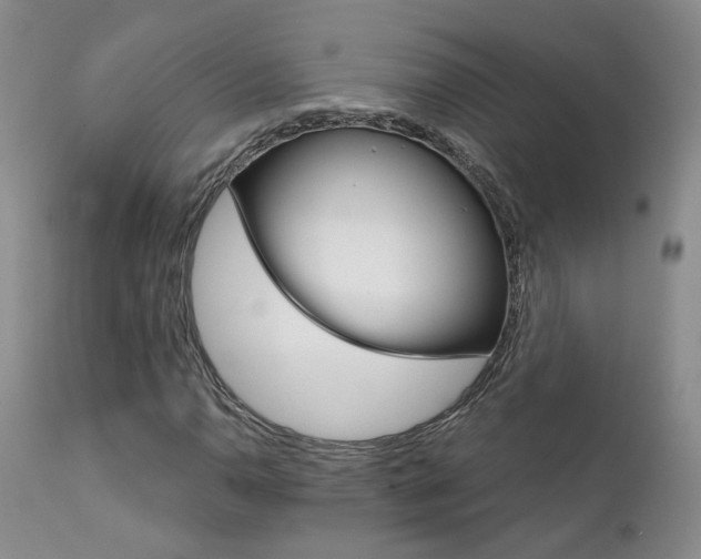 X0000111931110200907271306
