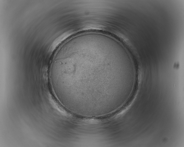 X0000111931113200907271306