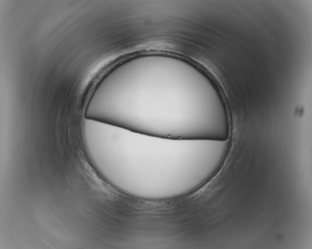 X0000111931115200907271306