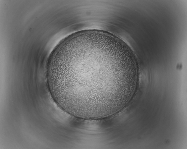 X0000111931116200907271306