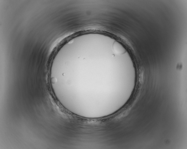 X0000111931117200907271306