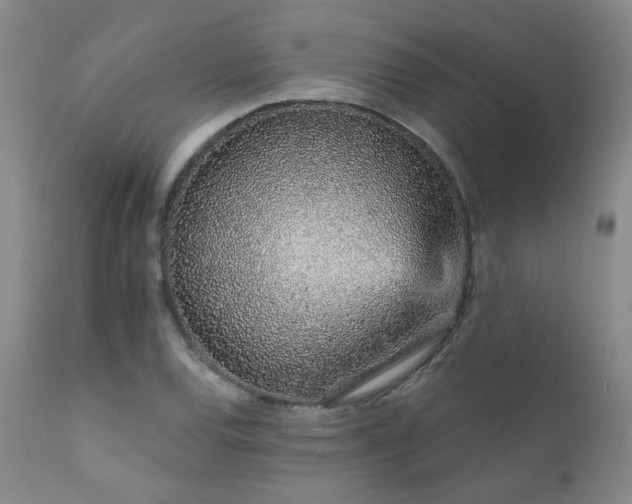 X0000111931120200907271306