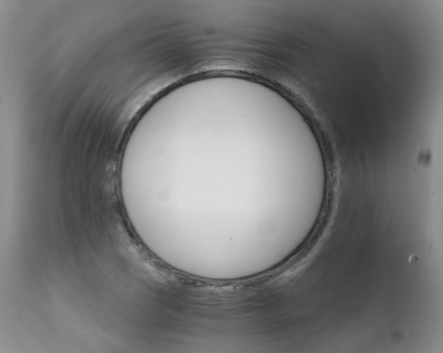 X0000111931121200907271307