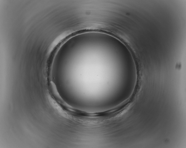 X0000111931122200907271307