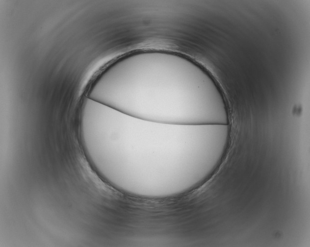 X0000111931123200907271307