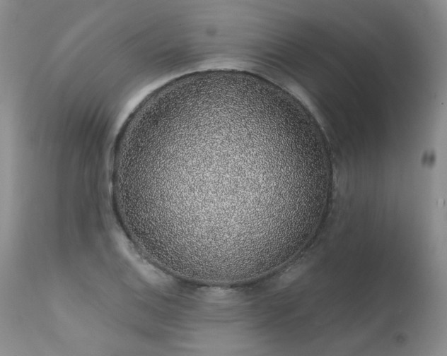 X0000111931124200907271307