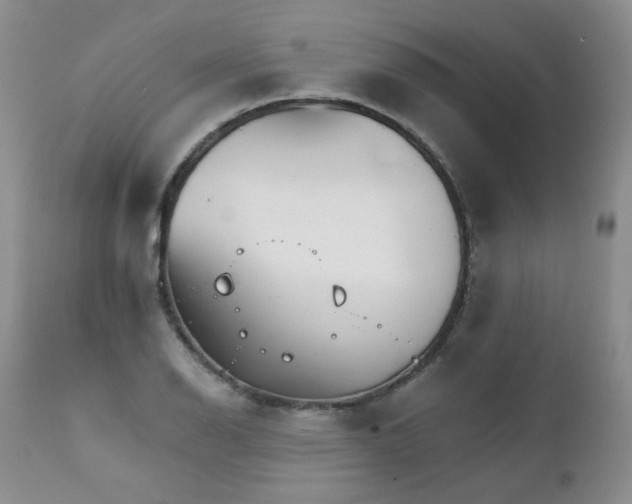 X0000111931126200907271307