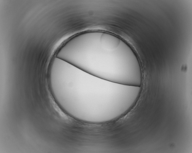 X0000111931127200907271307