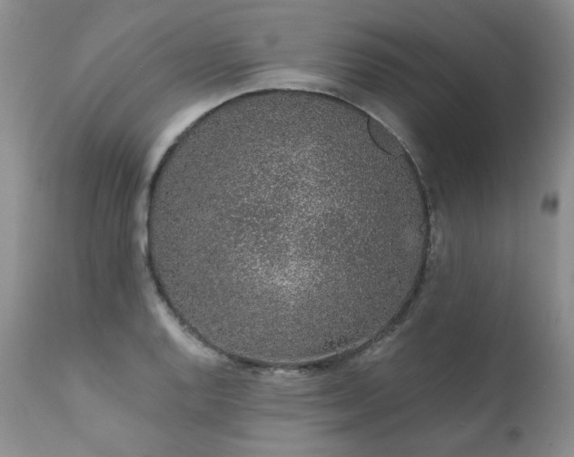 X0000111931128200907271307