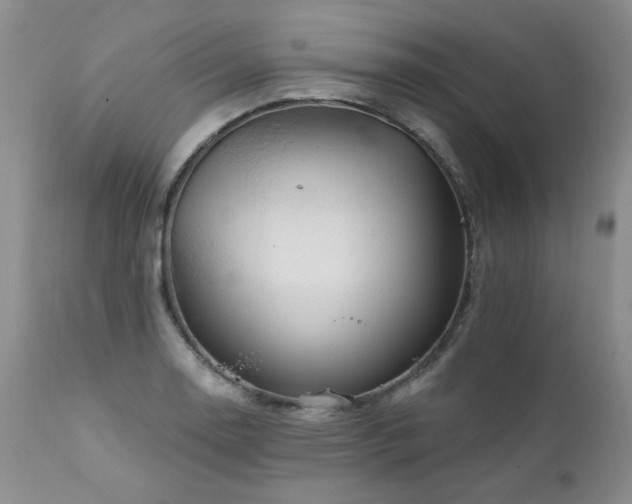 X0000111931130200907271307