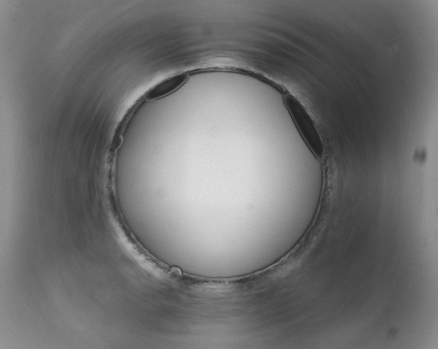 X0000111931134200907271307