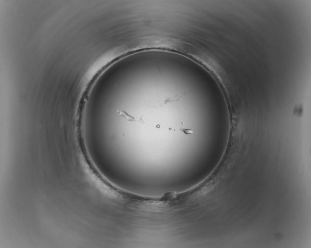 X0000111931135200907271307