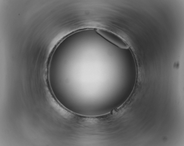 X0000111931136200907271307
