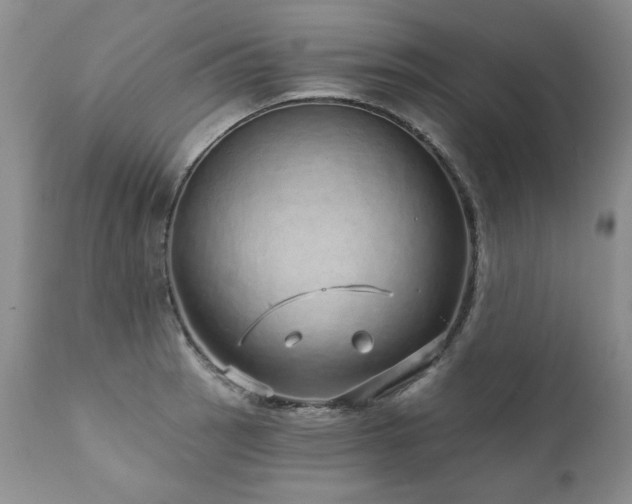X0000111931137200907271307