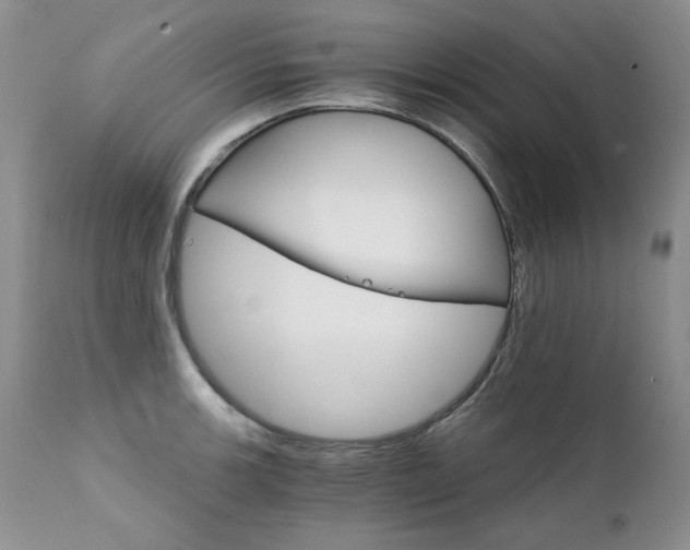 X0000111931139200907271307