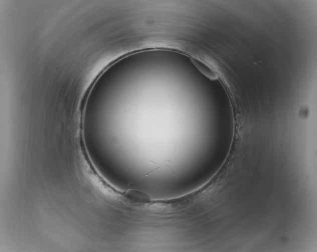 X0000111931140200907271307