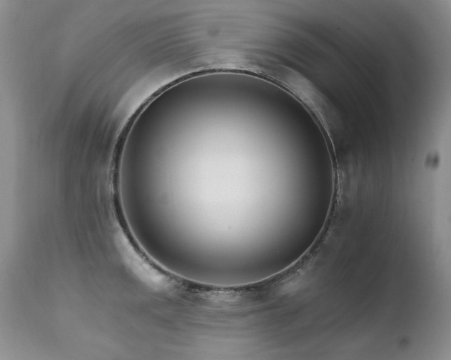 X0000111931141200907271307