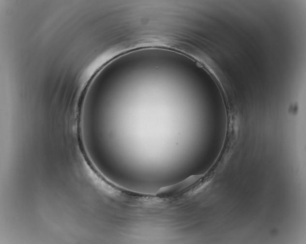 X0000111931143200907271307