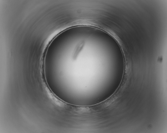 X0000111931144200907271307