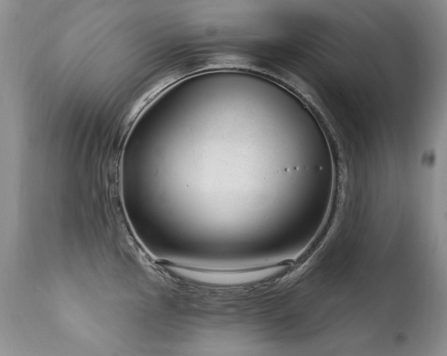 X0000111931145200907271307