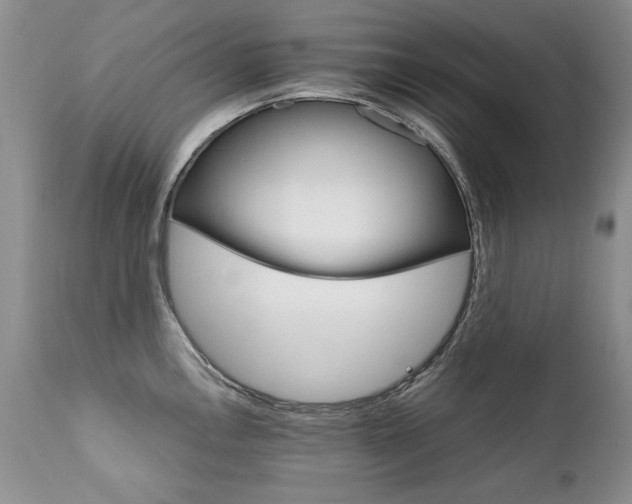 X0000111931146200907271307