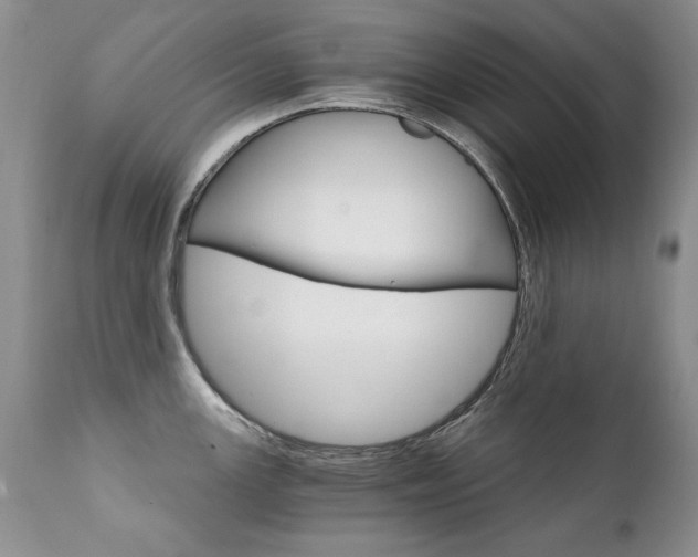 X0000111931147200907271307
