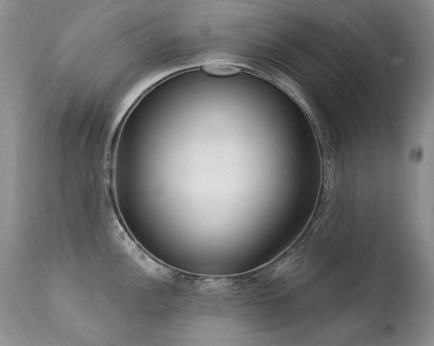 X0000111931148200907271307