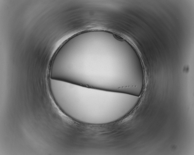 X0000111931149200907271307