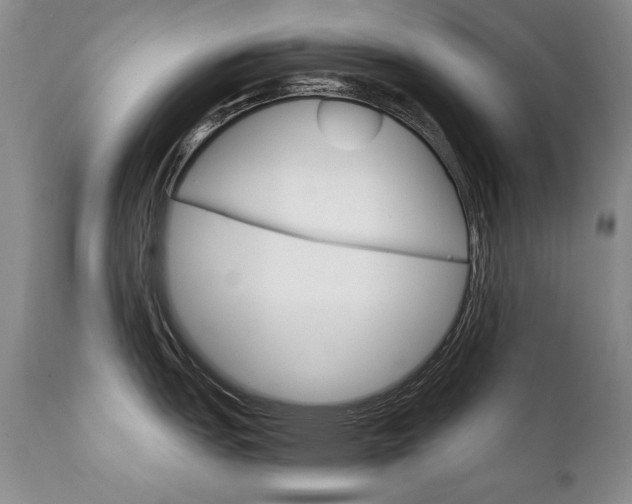 X0000111931151200907271307