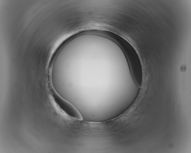X0000111931152200907271307
