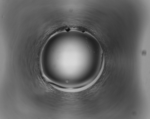 X0000111931153200907271306