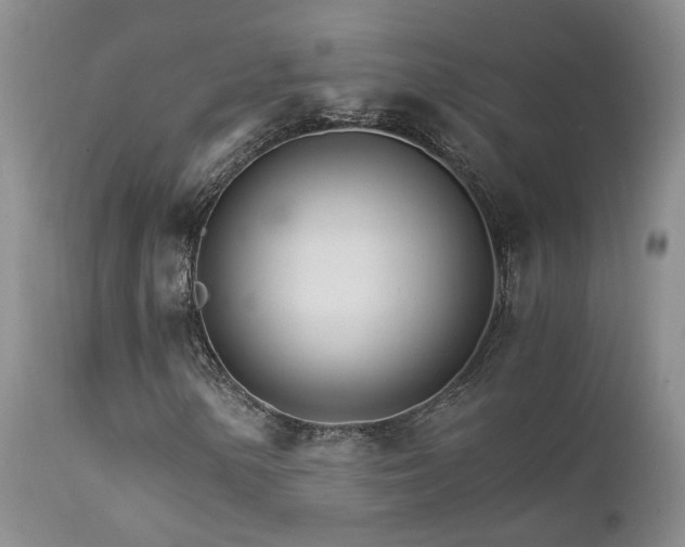X0000111931154200907271306