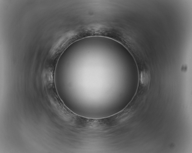 X0000111931155200907271306
