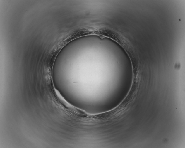 X0000111931156200907271306