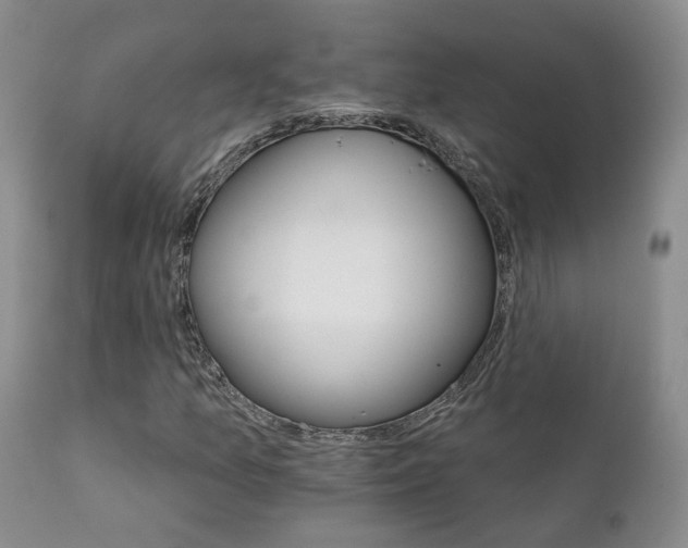 X0000111931157200907271306