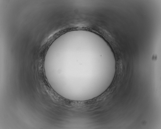 X0000111931158200907271306