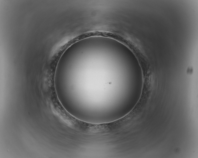 X0000111931159200907271306