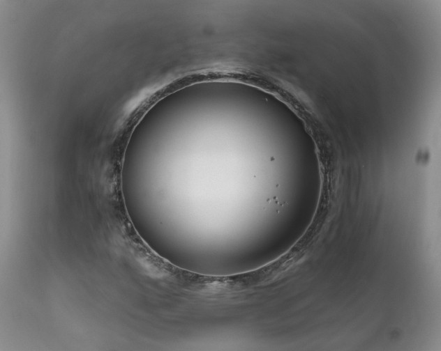 X0000111931160200907271306