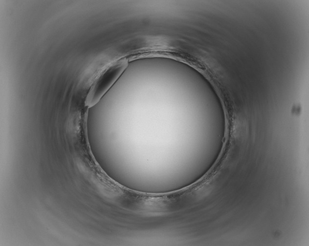 X0000111931161200907271306