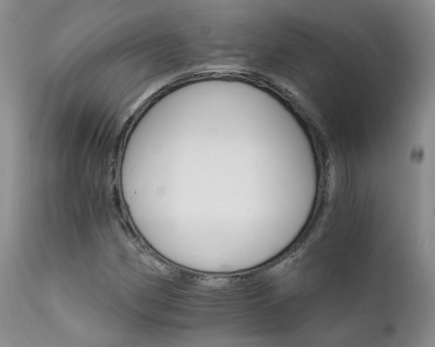 X0000111931162200907271306