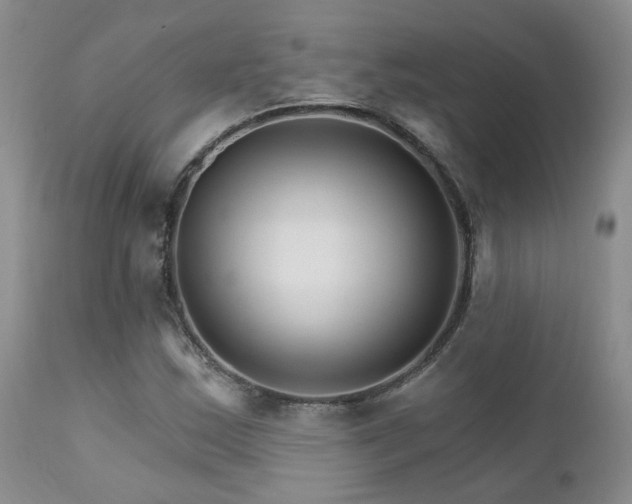 X0000111931163200907271306