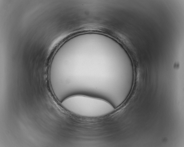 X0000111931164200907271306